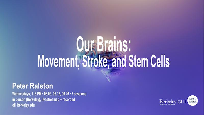 a glowing human brain against plain backdrop