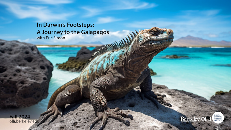 "An iguana on an rock against ocean"